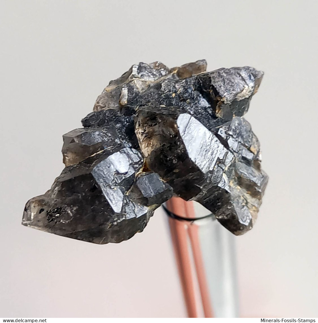 #T31 - Ungewöhnliche RAUCHQUARZ Kristalle (Victoria, Australien) - Minerales