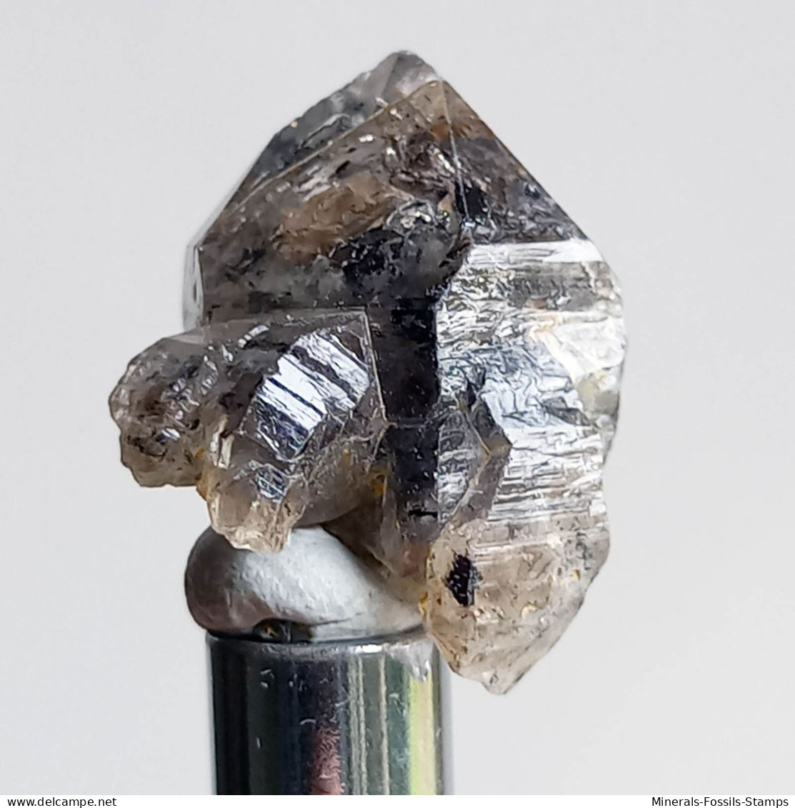 #T32 - Ungewöhnliche RAUCHQUARZ Kristalle (Victoria, Australien) - Mineralien