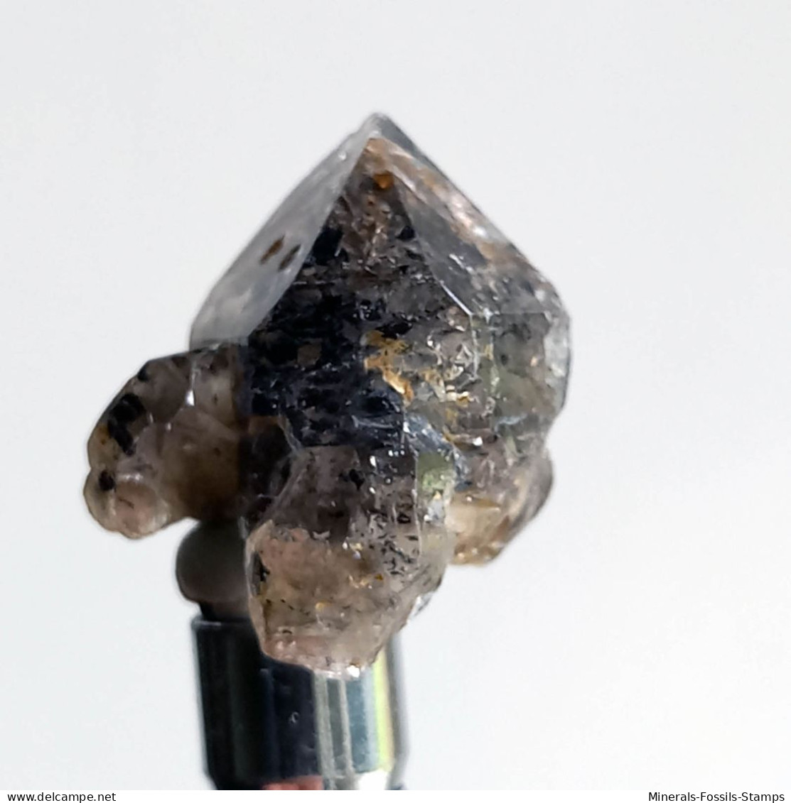 #T32 - Ungewöhnliche RAUCHQUARZ Kristalle (Victoria, Australien) - Minerals