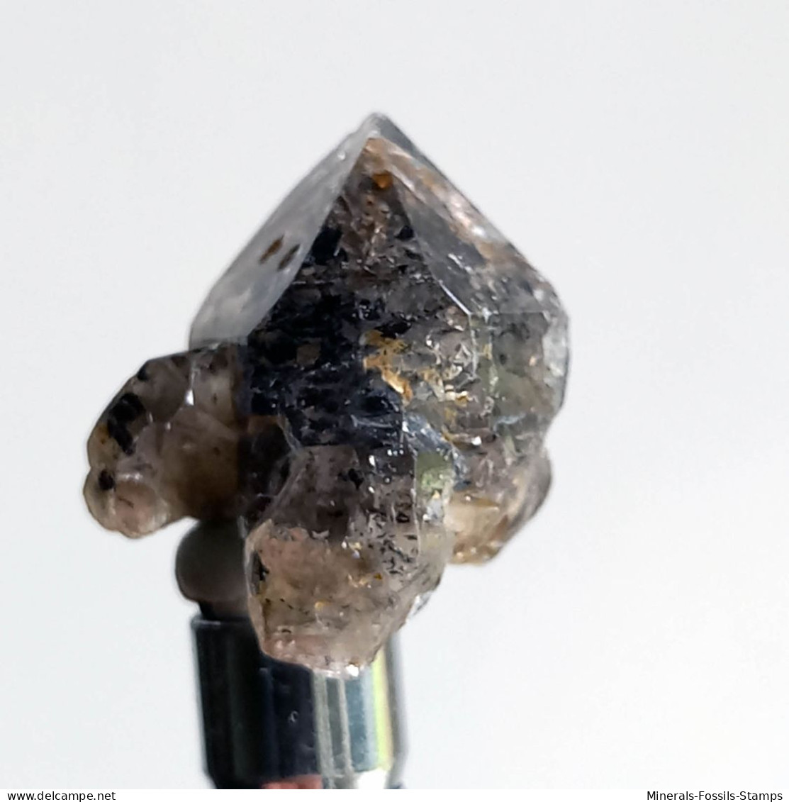 #T32 - Ungewöhnliche RAUCHQUARZ Kristalle (Victoria, Australien) - Minerales