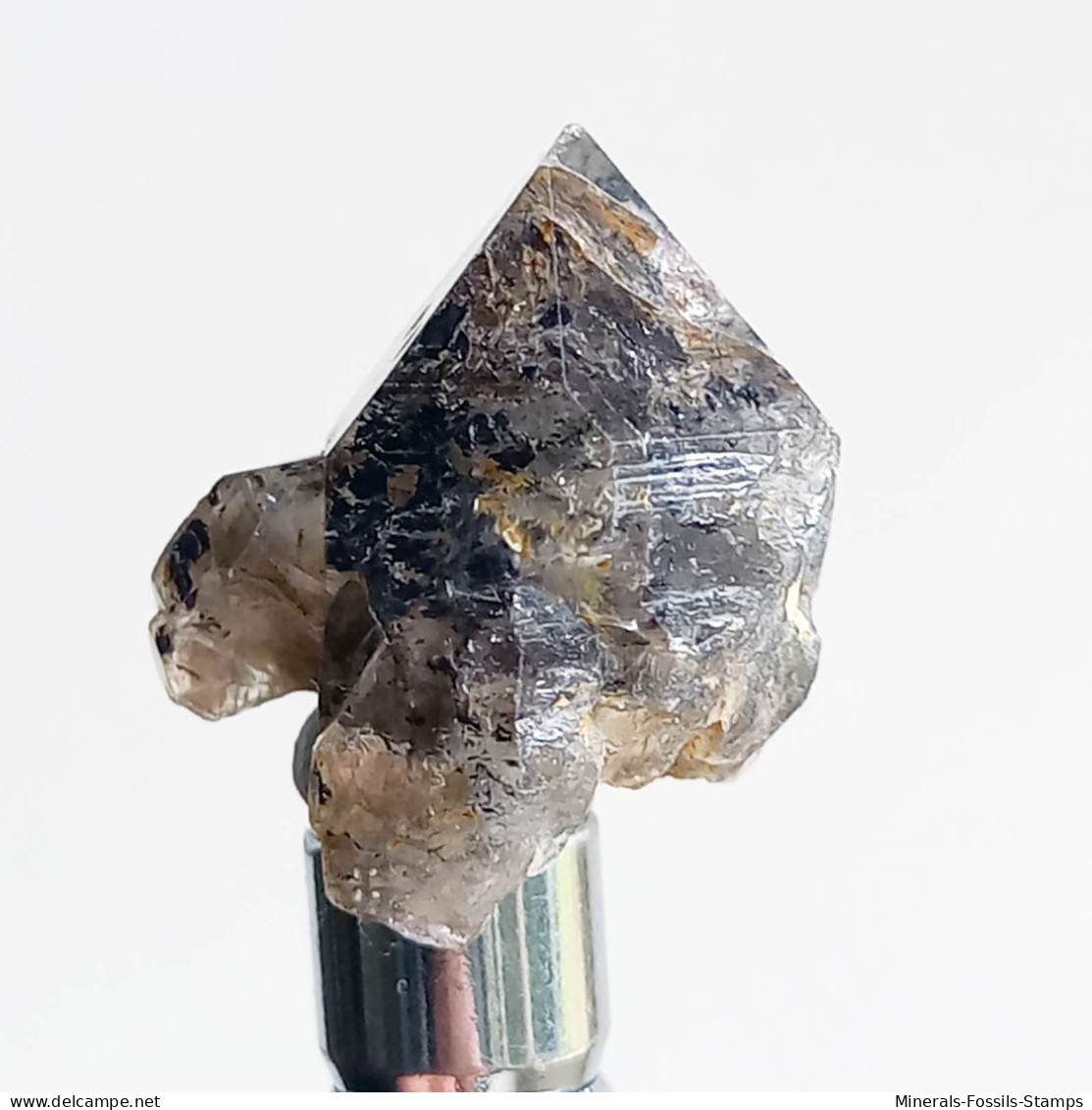 #T32 - Ungewöhnliche RAUCHQUARZ Kristalle (Victoria, Australien) - Mineralien