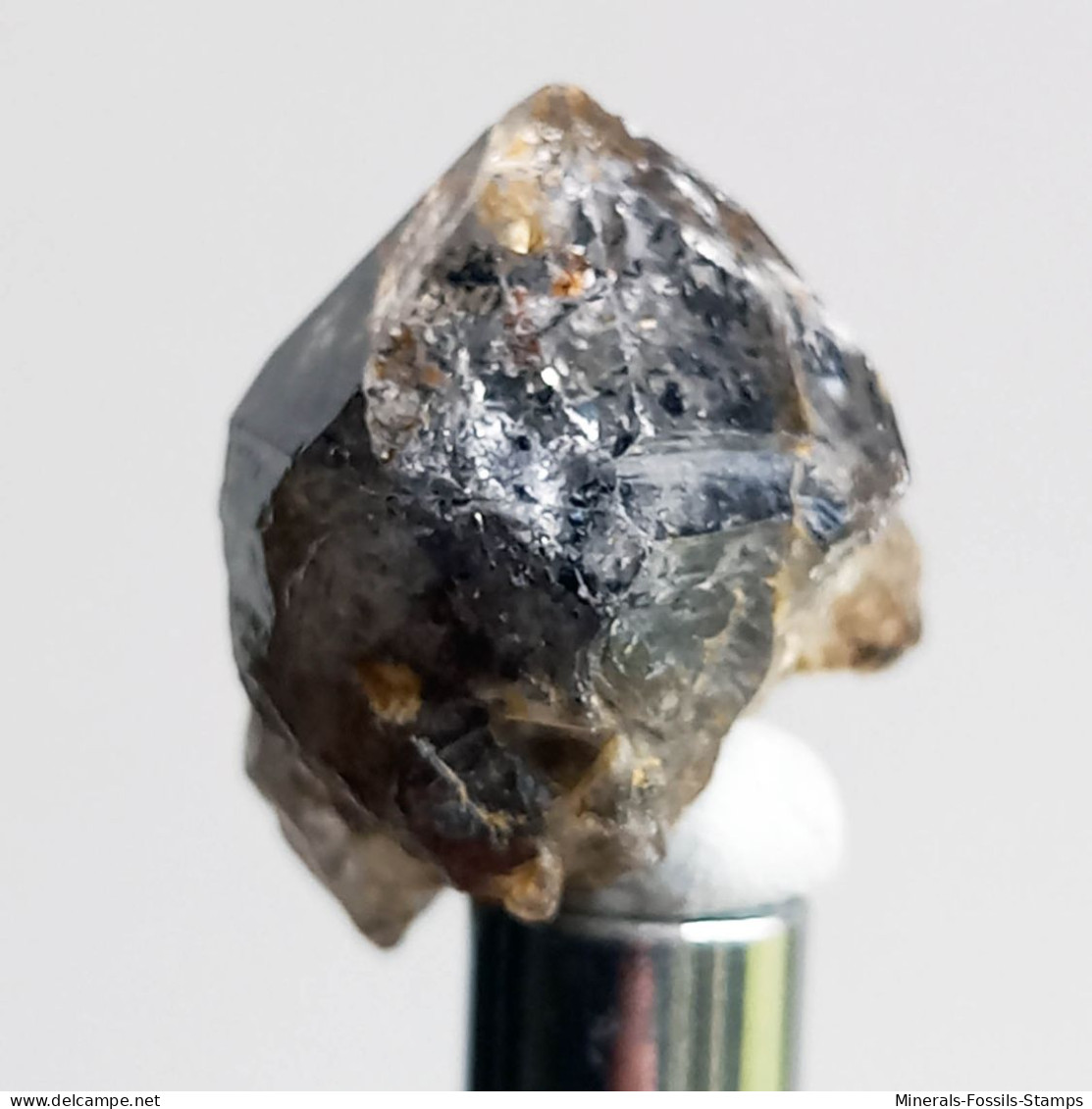 #T32 - Ungewöhnliche RAUCHQUARZ Kristalle (Victoria, Australien) - Mineralien