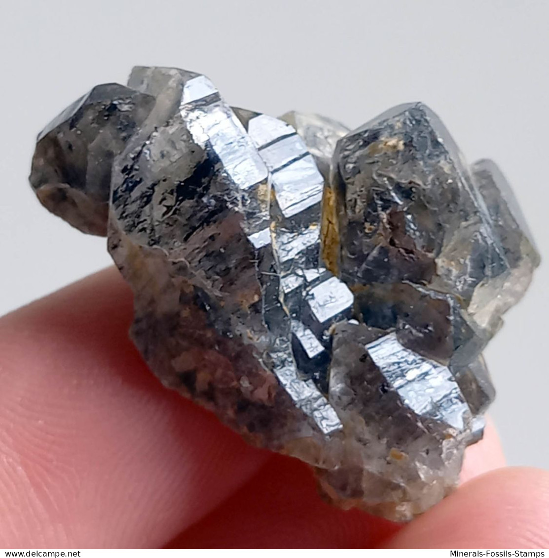 #T33 - Ungewöhnliche RAUCHQUARZ Kristalle (Victoria, Australien) - Mineralien