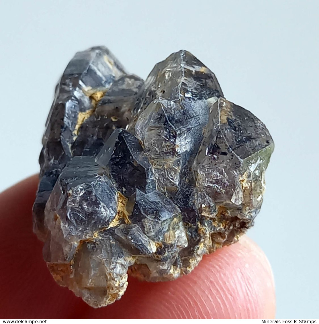 #T33 - Ungewöhnliche RAUCHQUARZ Kristalle (Victoria, Australien) - Minerals