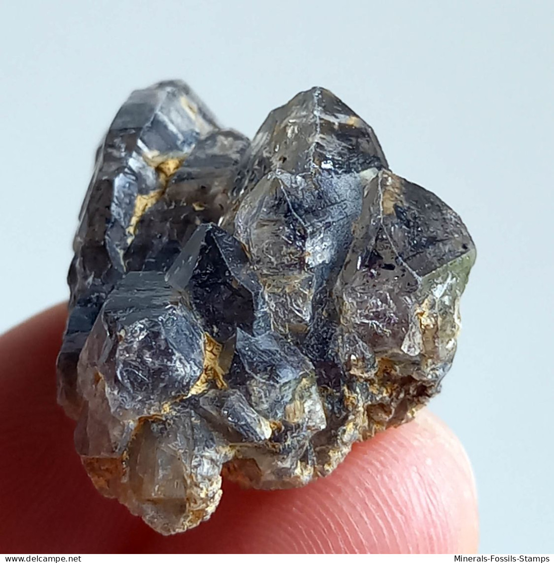 #T33 - Ungewöhnliche RAUCHQUARZ Kristalle (Victoria, Australien) - Mineralien