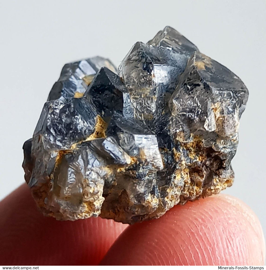 #T33 - Ungewöhnliche RAUCHQUARZ Kristalle (Victoria, Australien) - Mineralien