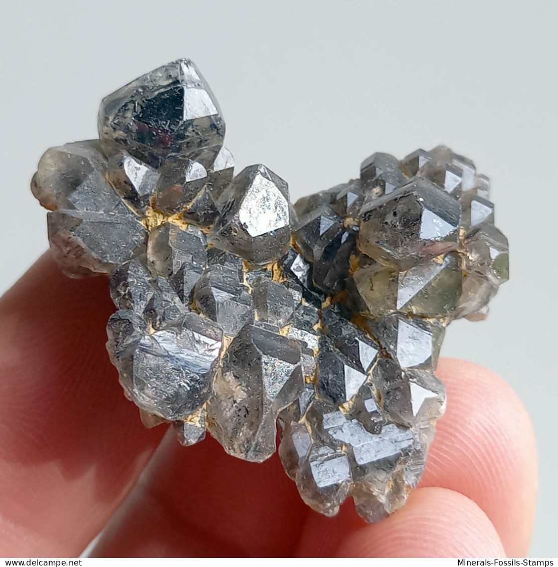 #T34 - Ungewöhnliche RAUCHQUARZ Kristalle (Victoria, Australien) - Mineralien