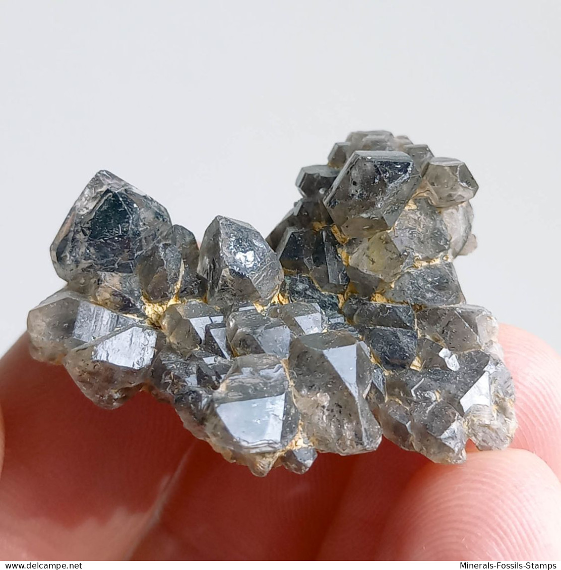#T34 - Ungewöhnliche RAUCHQUARZ Kristalle (Victoria, Australien) - Minerals
