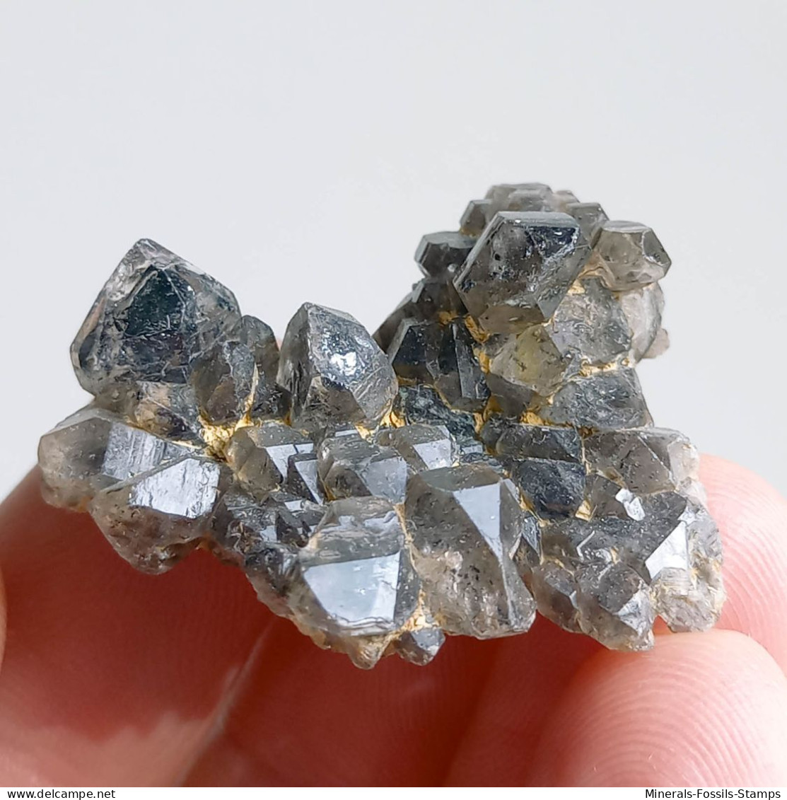 #T34 - Ungewöhnliche RAUCHQUARZ Kristalle (Victoria, Australien) - Mineralen