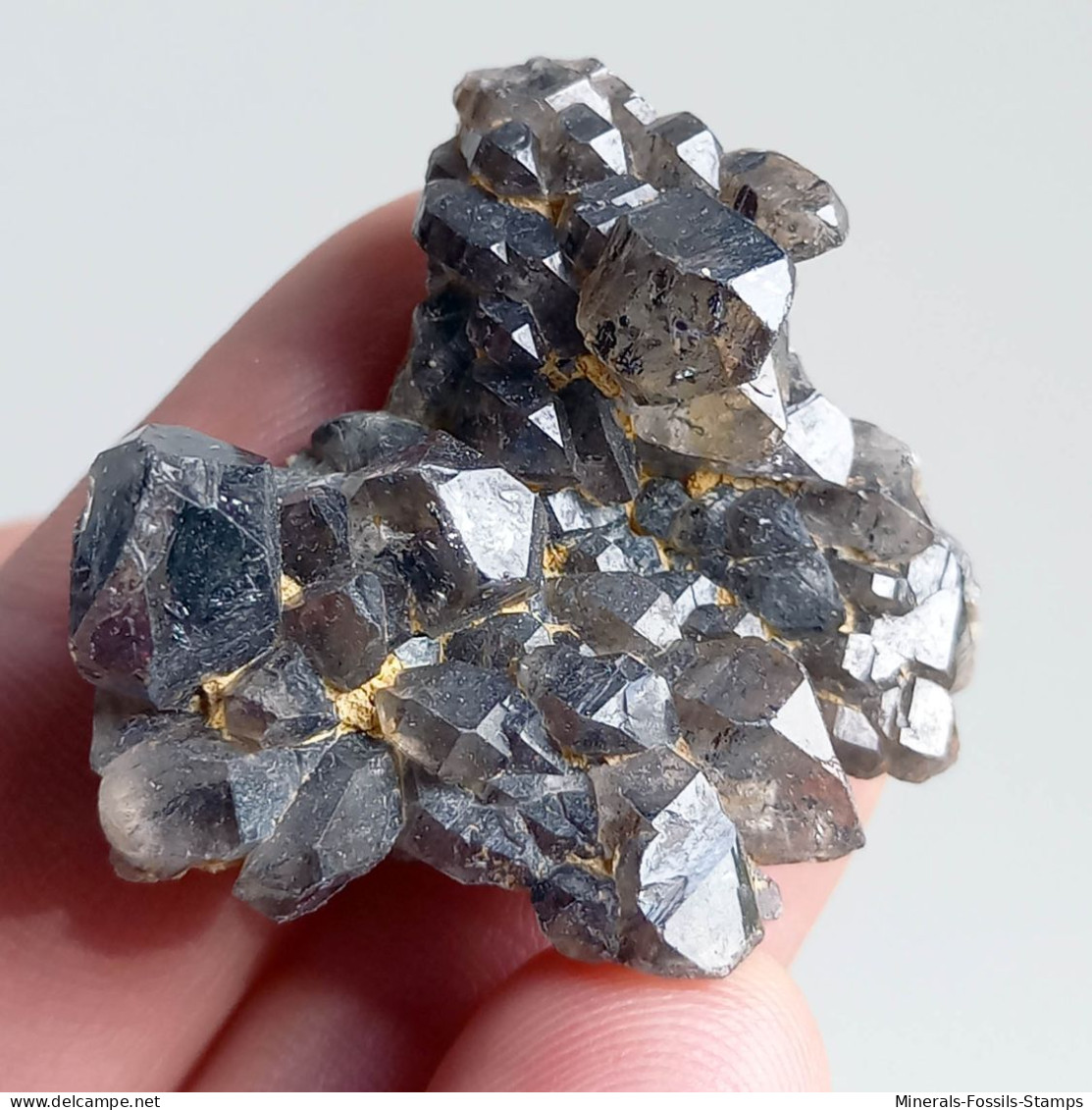 #T34 - Ungewöhnliche RAUCHQUARZ Kristalle (Victoria, Australien) - Mineralien