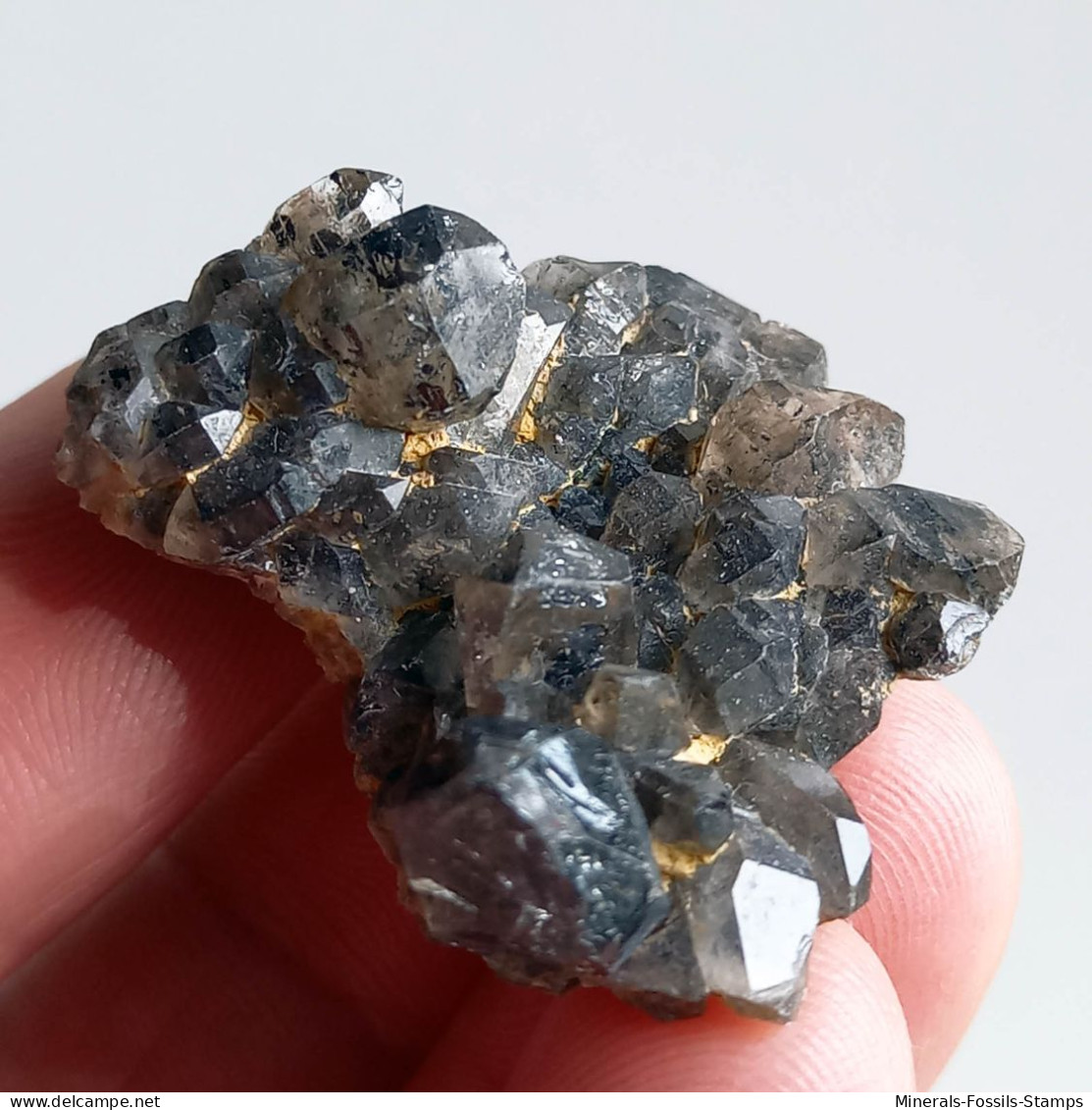 #T34 - Ungewöhnliche RAUCHQUARZ Kristalle (Victoria, Australien) - Mineralien