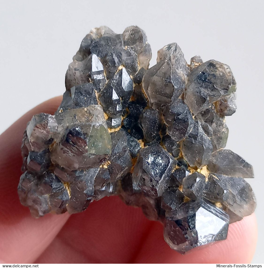 #T34 - Ungewöhnliche RAUCHQUARZ Kristalle (Victoria, Australien) - Minerali