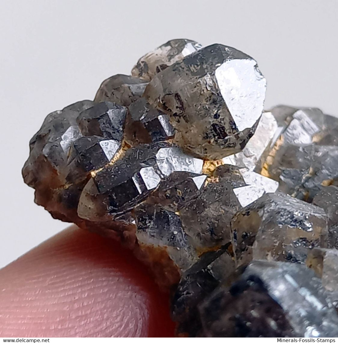 #T34 - Ungewöhnliche RAUCHQUARZ kristalle (Victoria, Australien)