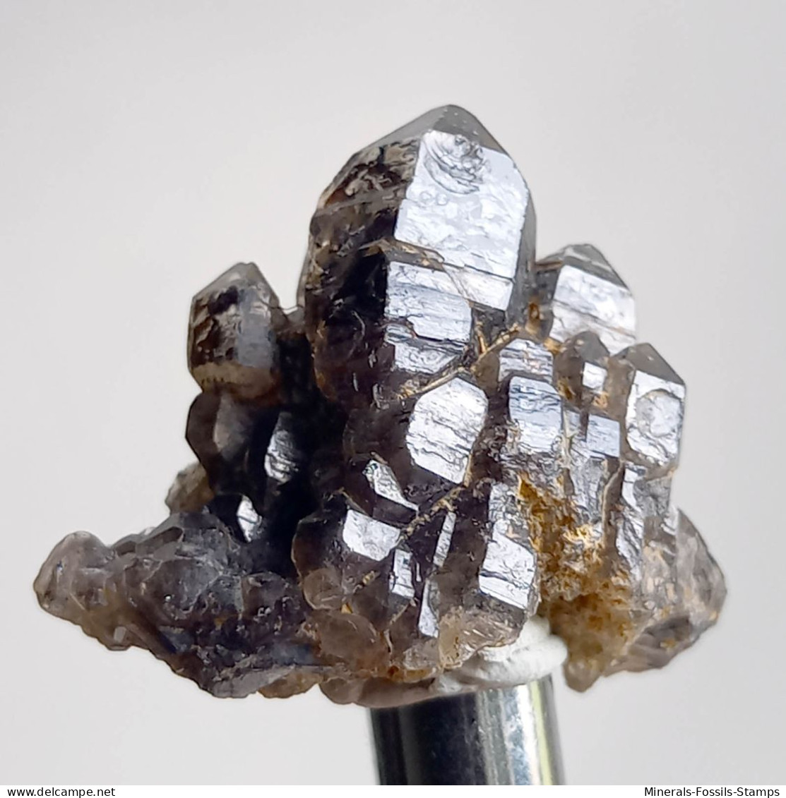 #T35 - Ungewöhnliche RAUCHQUARZ Kristalle (Victoria, Australien) - Minerali