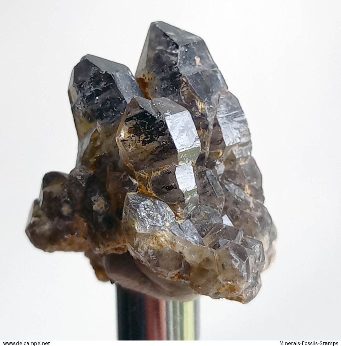 #T35 - Ungewöhnliche RAUCHQUARZ Kristalle (Victoria, Australien) - Mineralien