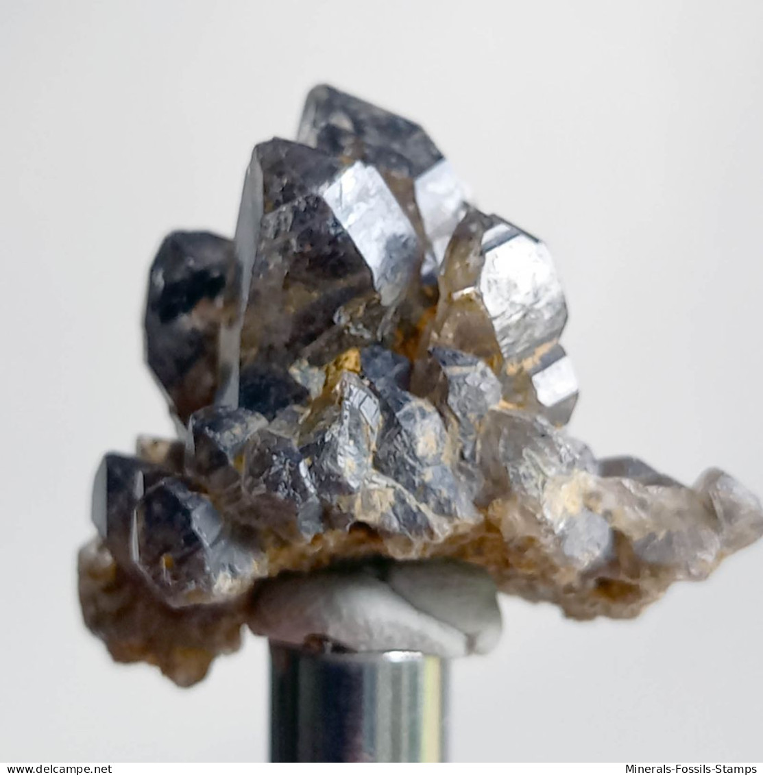 #T35 - Ungewöhnliche RAUCHQUARZ Kristalle (Victoria, Australien) - Minerals