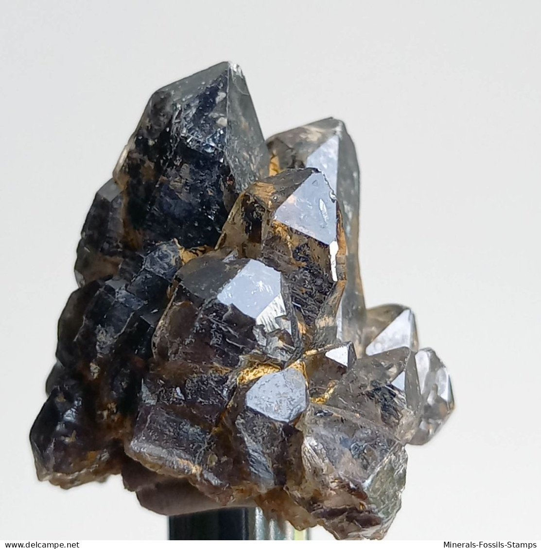 #T35 - Ungewöhnliche RAUCHQUARZ kristalle (Victoria, Australien)
