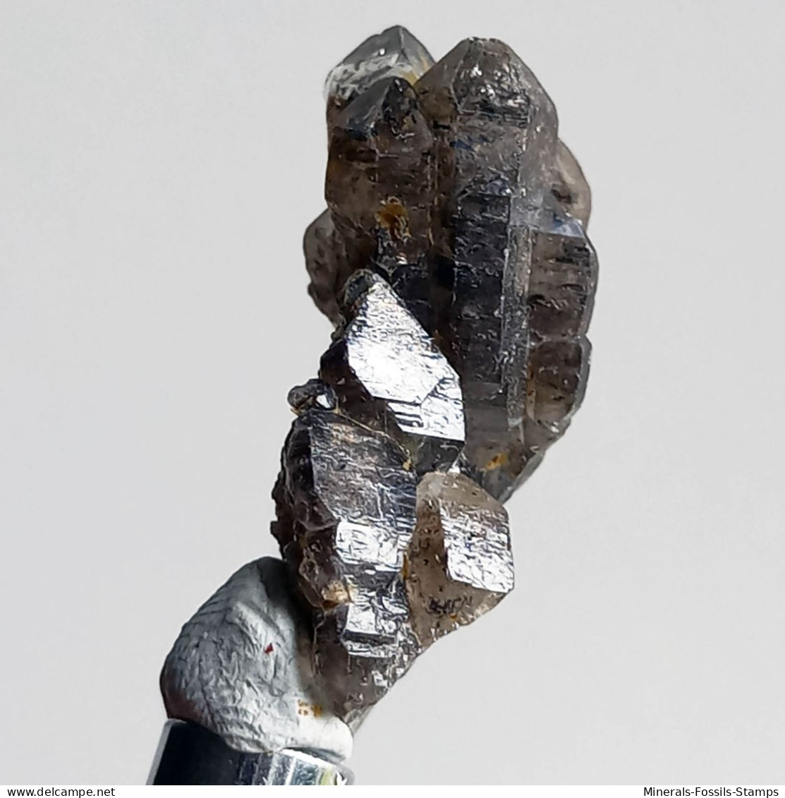 #T38 - Ungewöhnliche RAUCHQUARZ Kristalle (Victoria, Australien) - Minerales