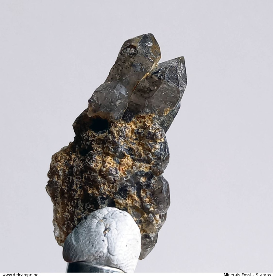 #T38 - Ungewöhnliche RAUCHQUARZ Kristalle (Victoria, Australien) - Mineralien