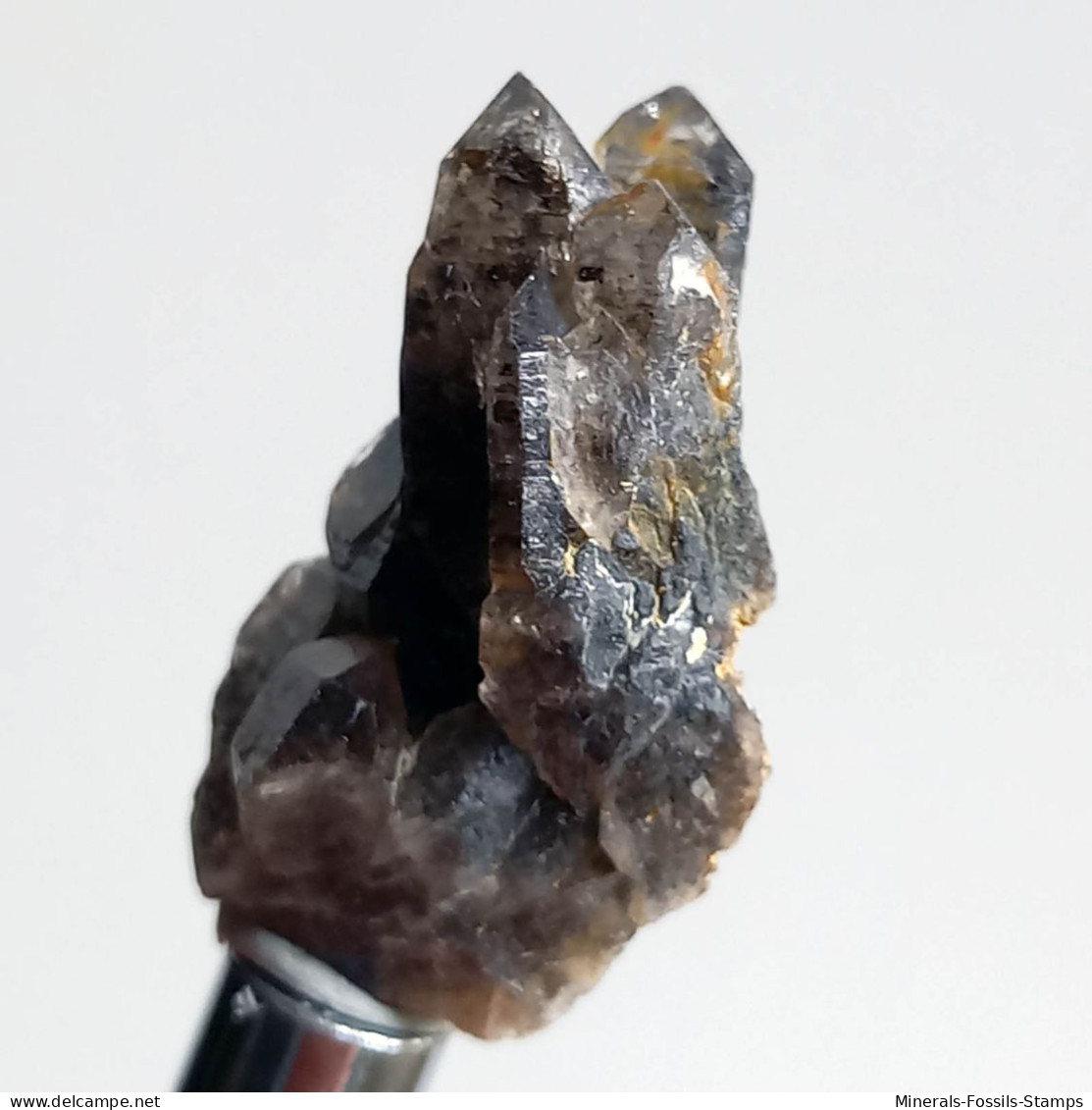#T38 - Ungewöhnliche RAUCHQUARZ Kristalle (Victoria, Australien) - Minerals