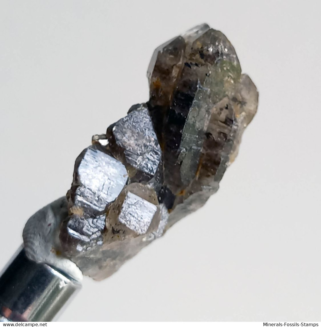 #T38 - Ungewöhnliche RAUCHQUARZ Kristalle (Victoria, Australien) - Minerals