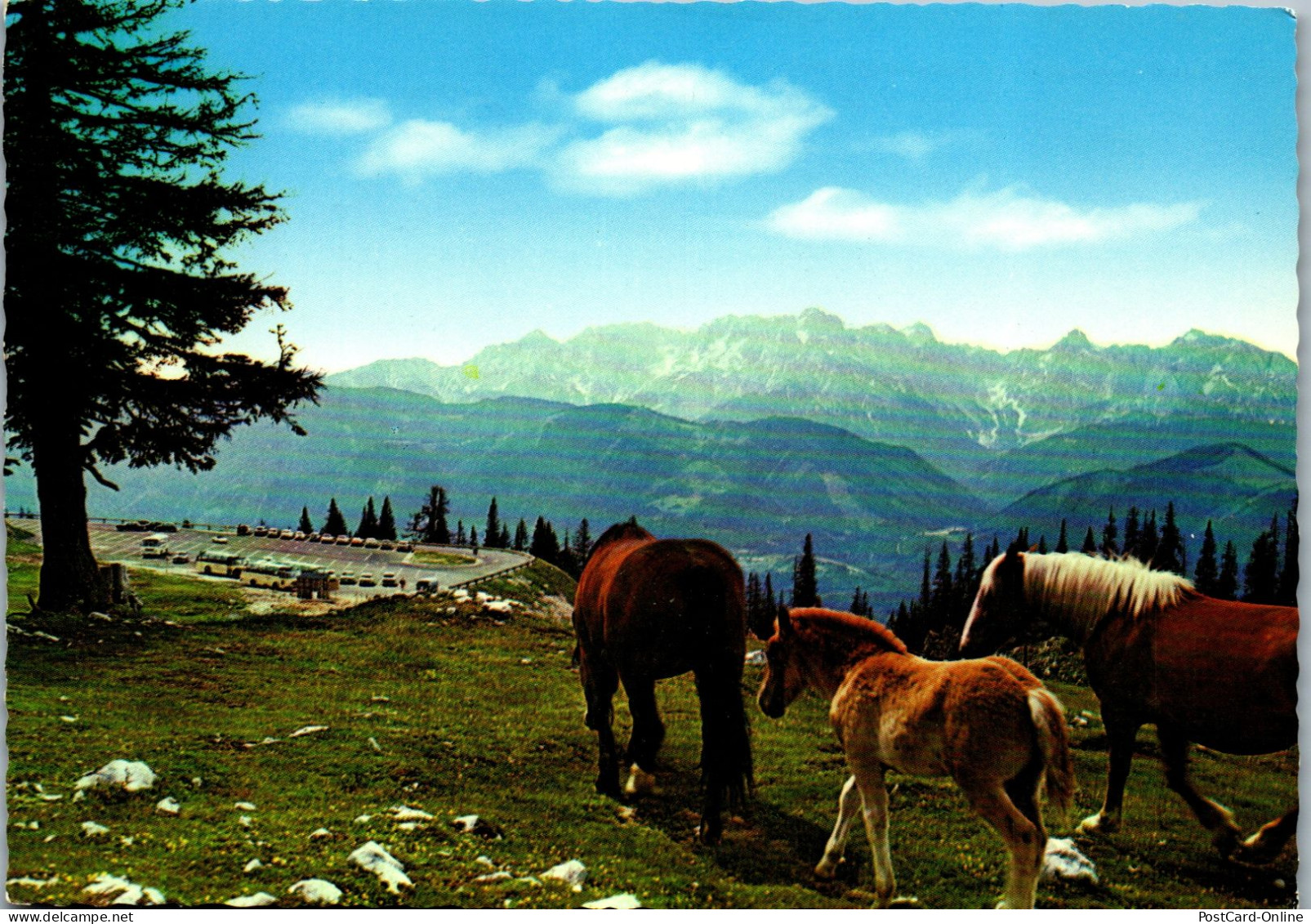 48918 - Kärnten - Villacher Alpe , Parkplatz Roßtratte Mit Blick Auf Die Julischen Alpen - Gelaufen 1968 - Villach