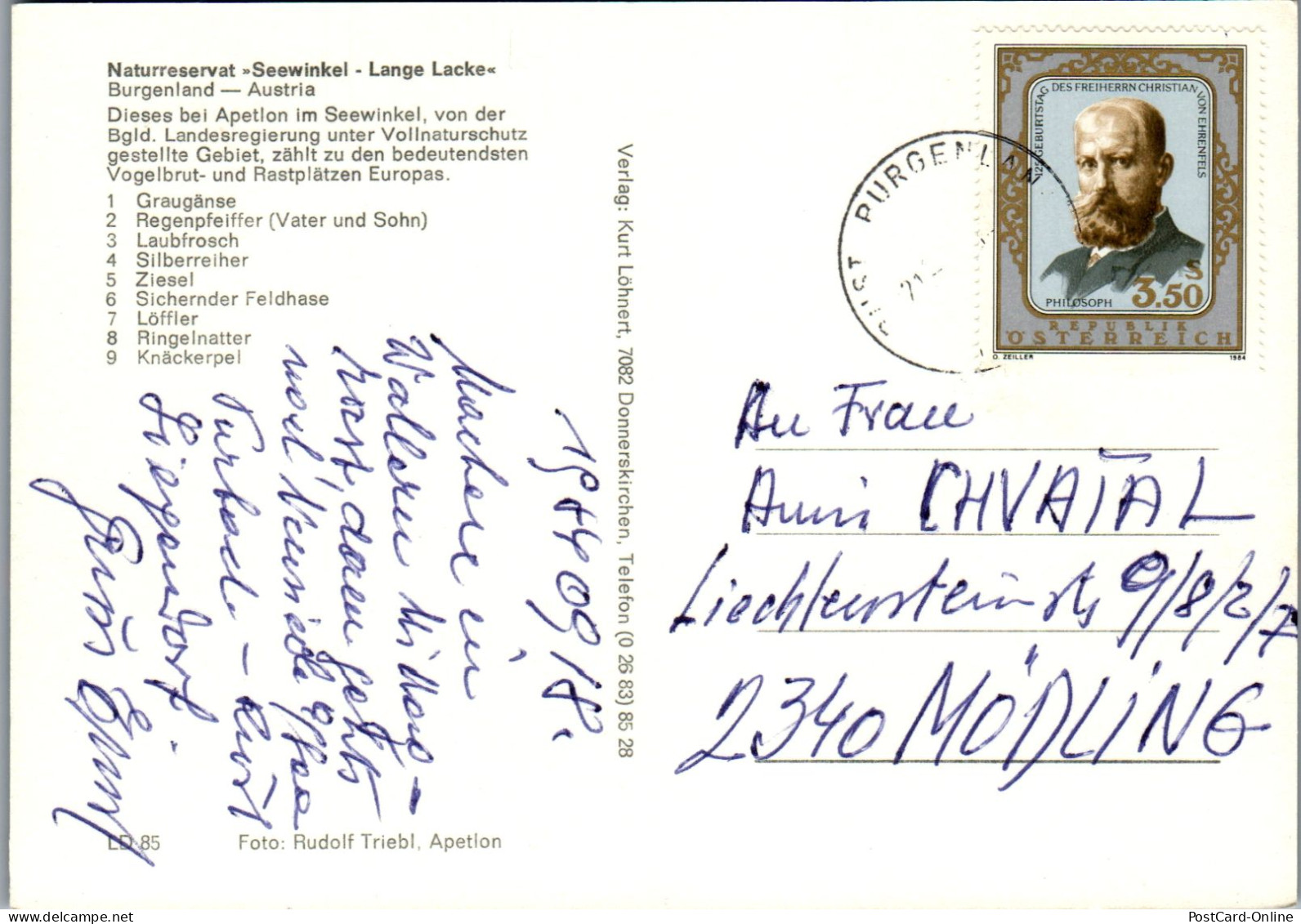 48902 - Burgenland - Seewinkel , Naturreservat Lange Lacke  - Gelaufen 1984 - Neusiedlerseeorte