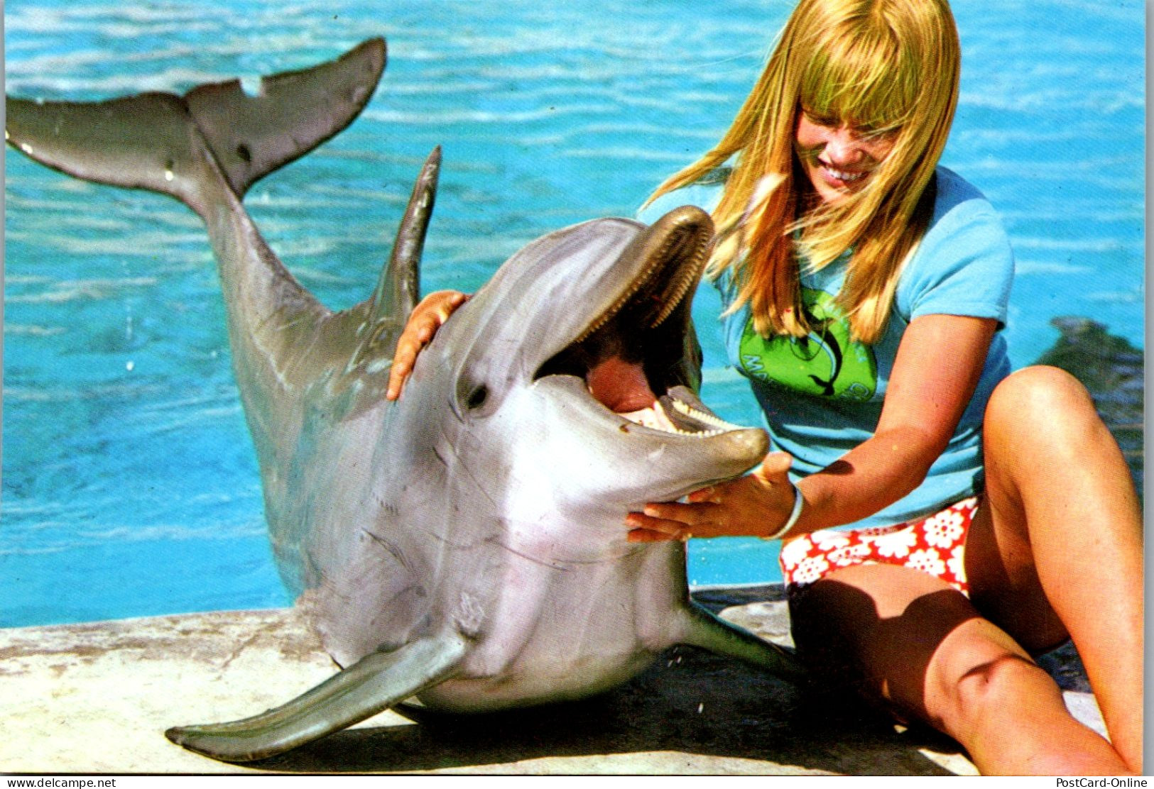 49395 - Tiere - Delfin , Mallorca - Nicht Gelaufen  - Dauphins