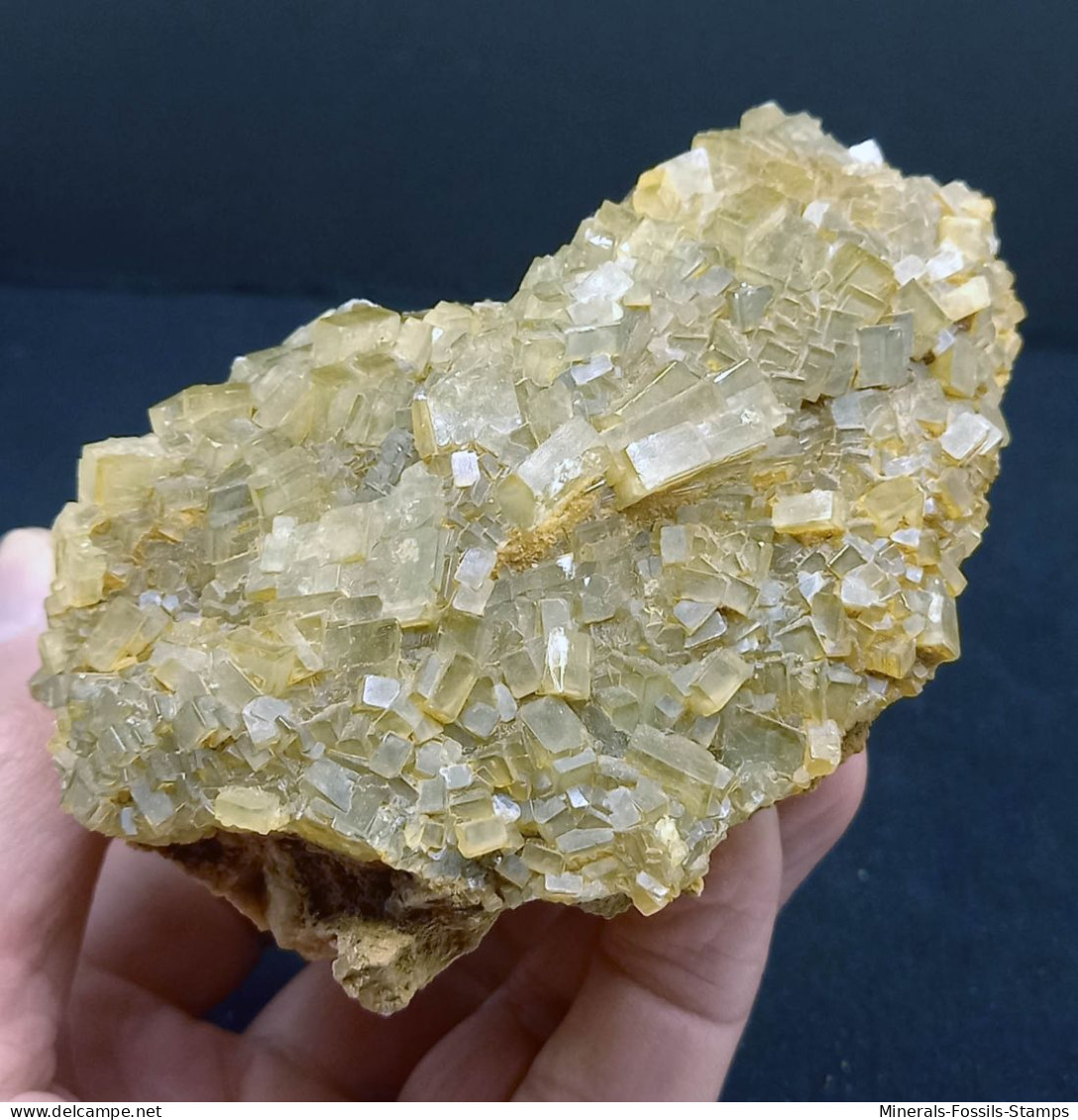 #F - Schöne HISTORISCHES BARYT Kristalle (Barbusi Mine, Sardinien, Italien) - Minerales