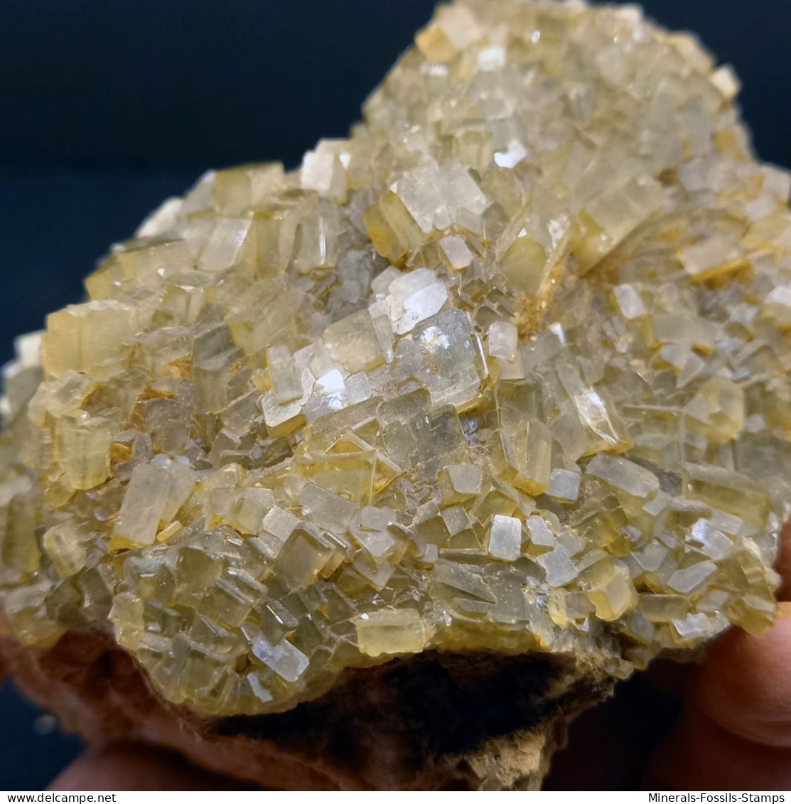 #F - Schöne HISTORISCHES BARYT Kristalle (Barbusi Mine, Sardinien, Italien) - Minerals
