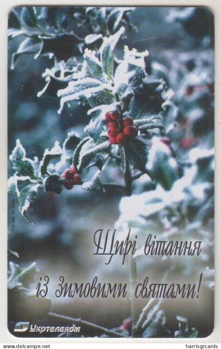 UKRAINE - Snowed Holly Branch, Ukrtelecom , 120 U, Tirage 118.500, Used - Ucraina