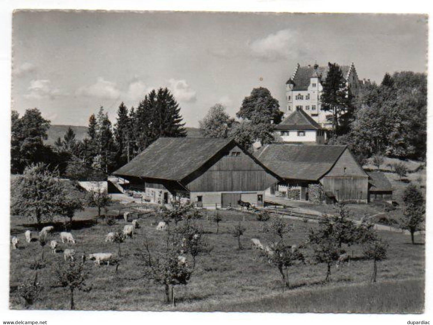 ALLEMAGNE : lot de 930 cartes postales, CPSM et CPM.