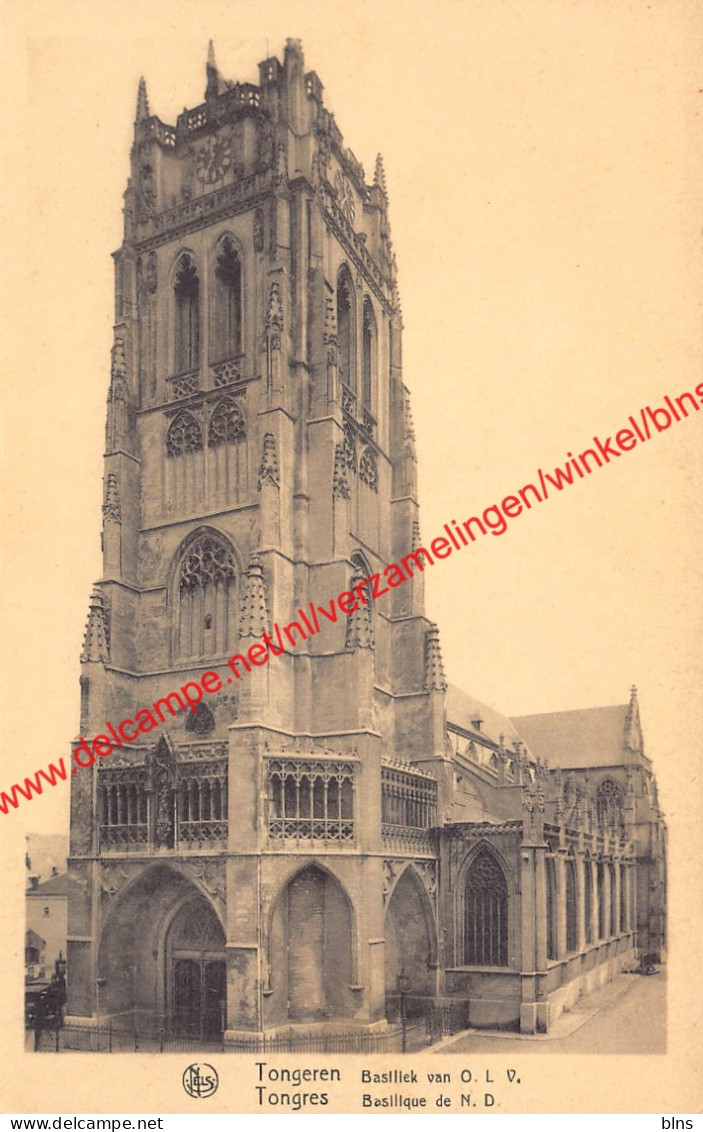 Basiliek Van O.L.V. - Tongeren - Tongeren