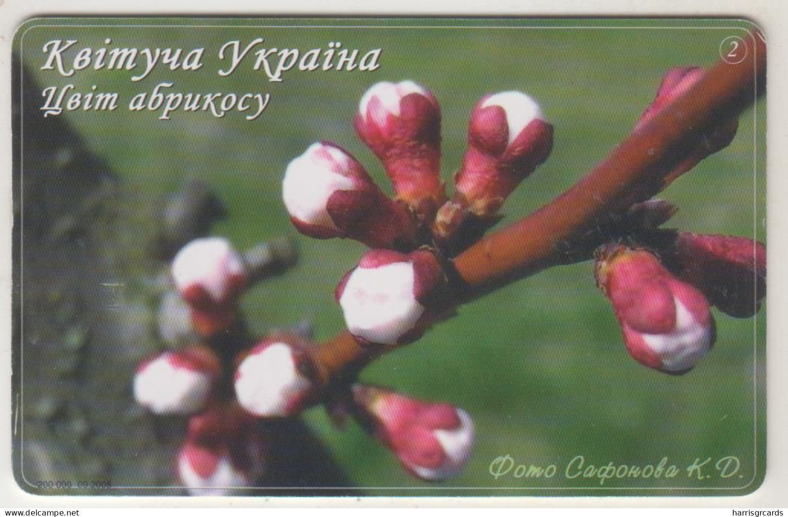 UKRAINE - Blooming Ukraine N. 2 - Apricot Flowers, Ukrtelecom , 9 Ukrainian Hryvnia, Tirage 200.000, Used - Oekraïne