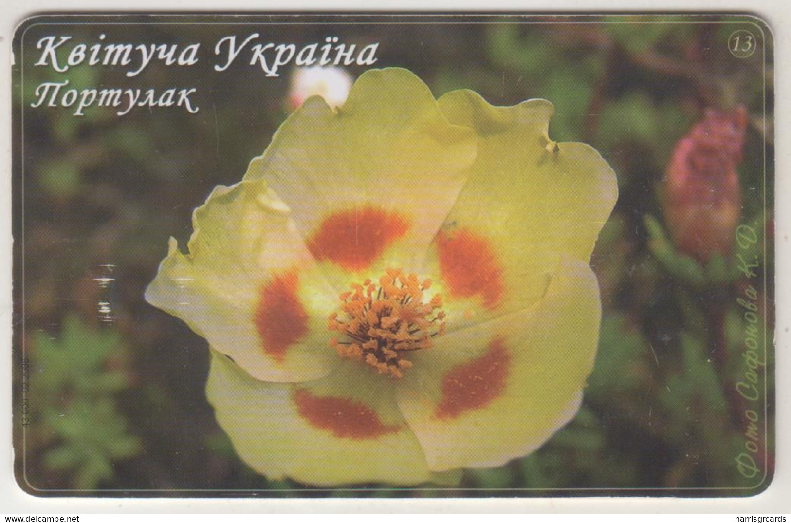 UKRAINE - Blooming Ukraine N. 13 - Portulaca, Ukrtelecom , 12 Ukrainian Hryvnia, Tirage 43.000, Used - Oekraïne