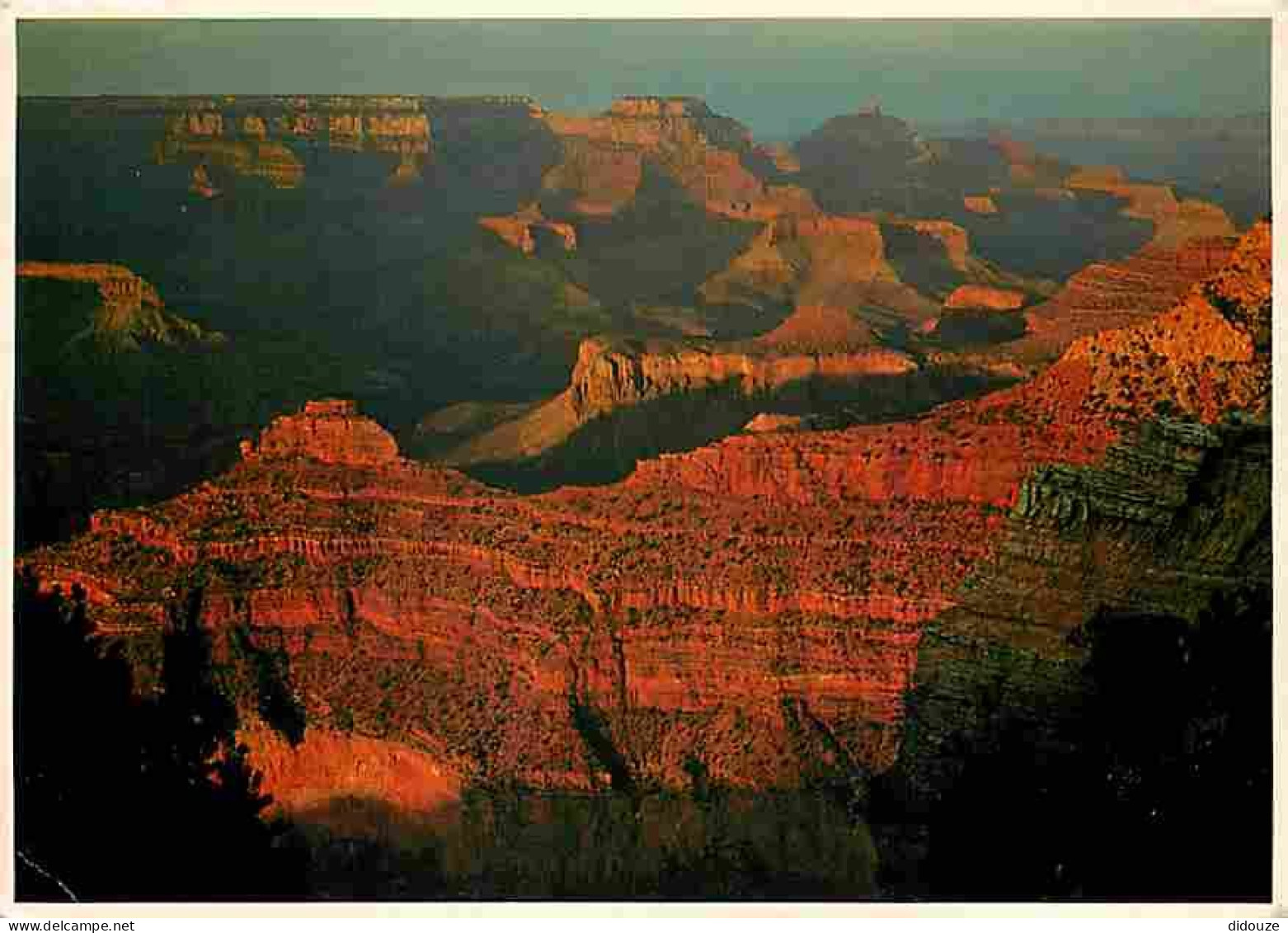 Etats Unis - Grand Canyon - Grand Canyon National Park - The Sunset Depens The Red And Orange Color In The Walls Of The  - Grand Canyon