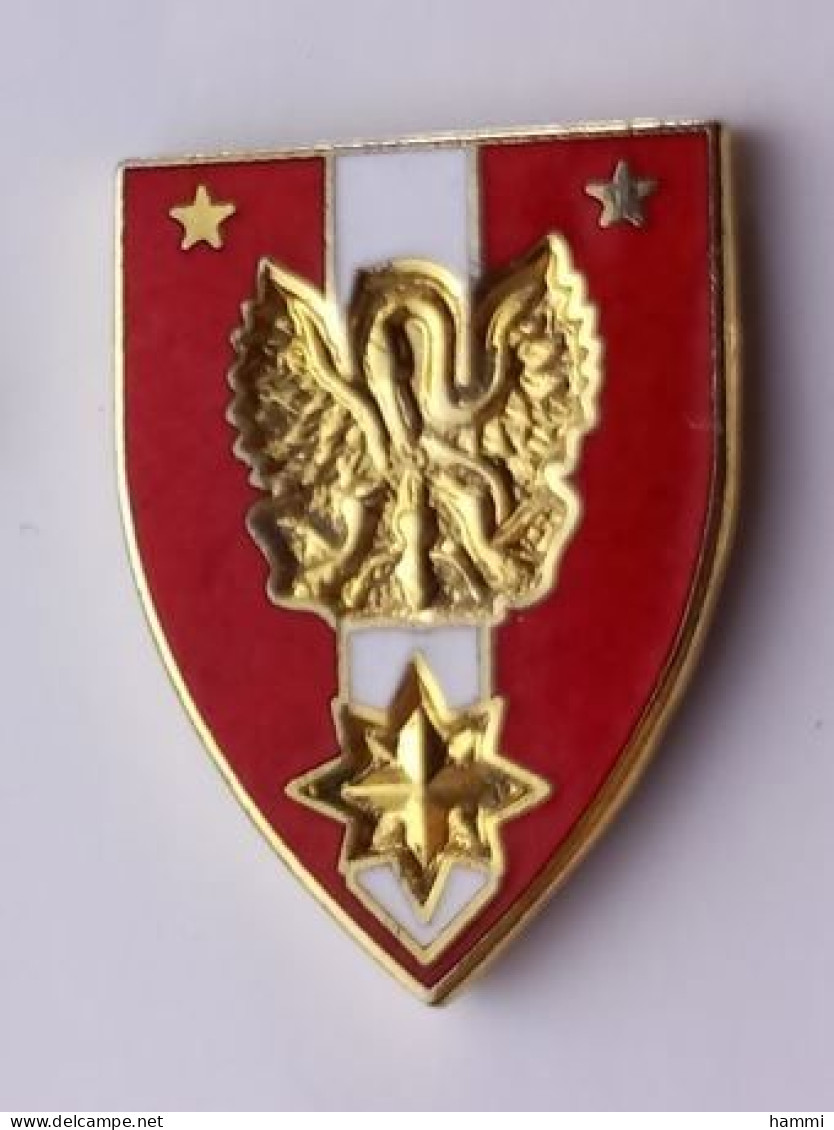 P73 Pin's Armée Militaire Régiment Lequel ? ?  Achat Immédiat - Militaria