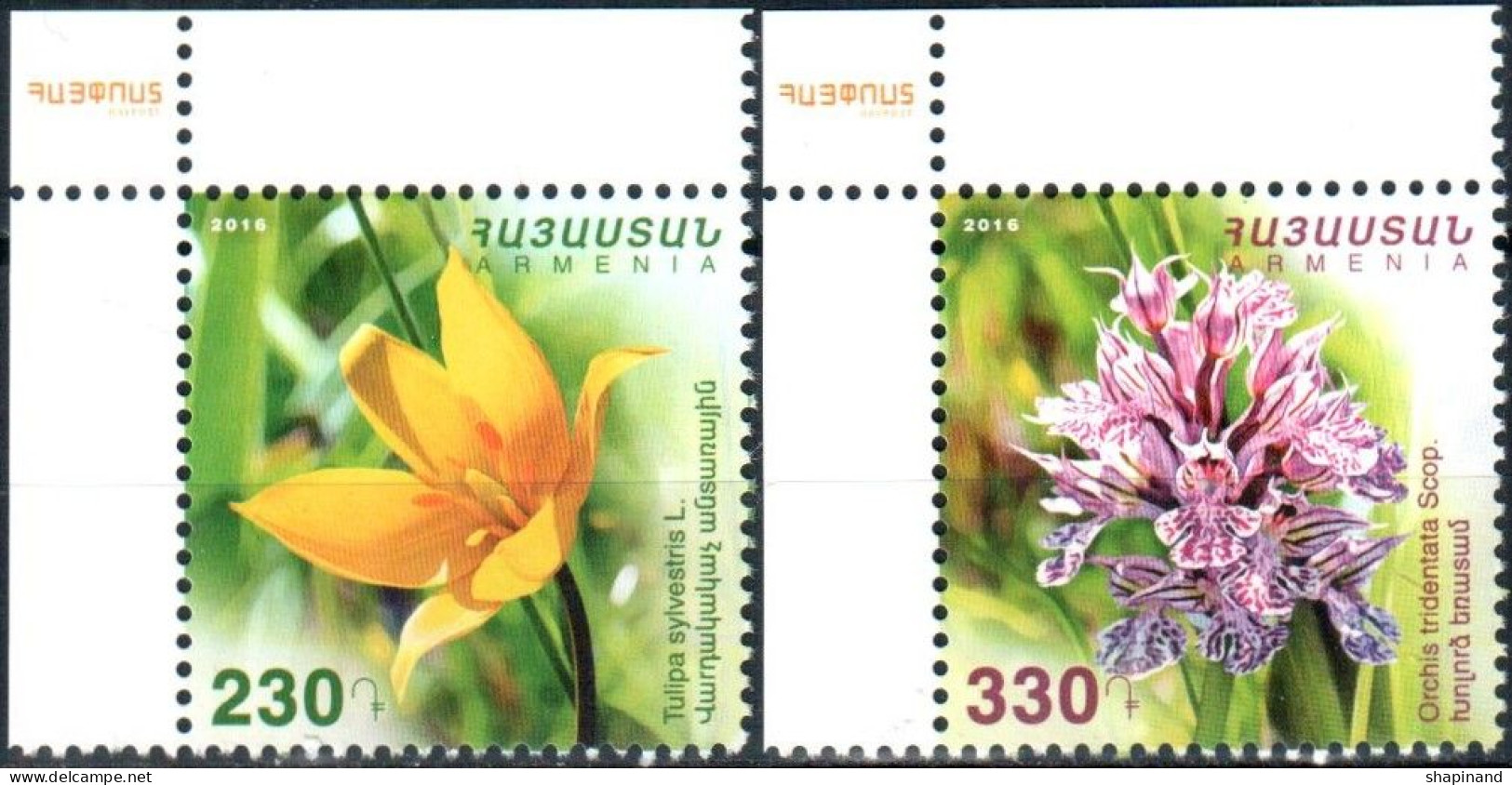 Armenia 2016 "Flora Of Armenia. "Flowers. Tulip And Orchid" 2v. Quality:100% - Armenien