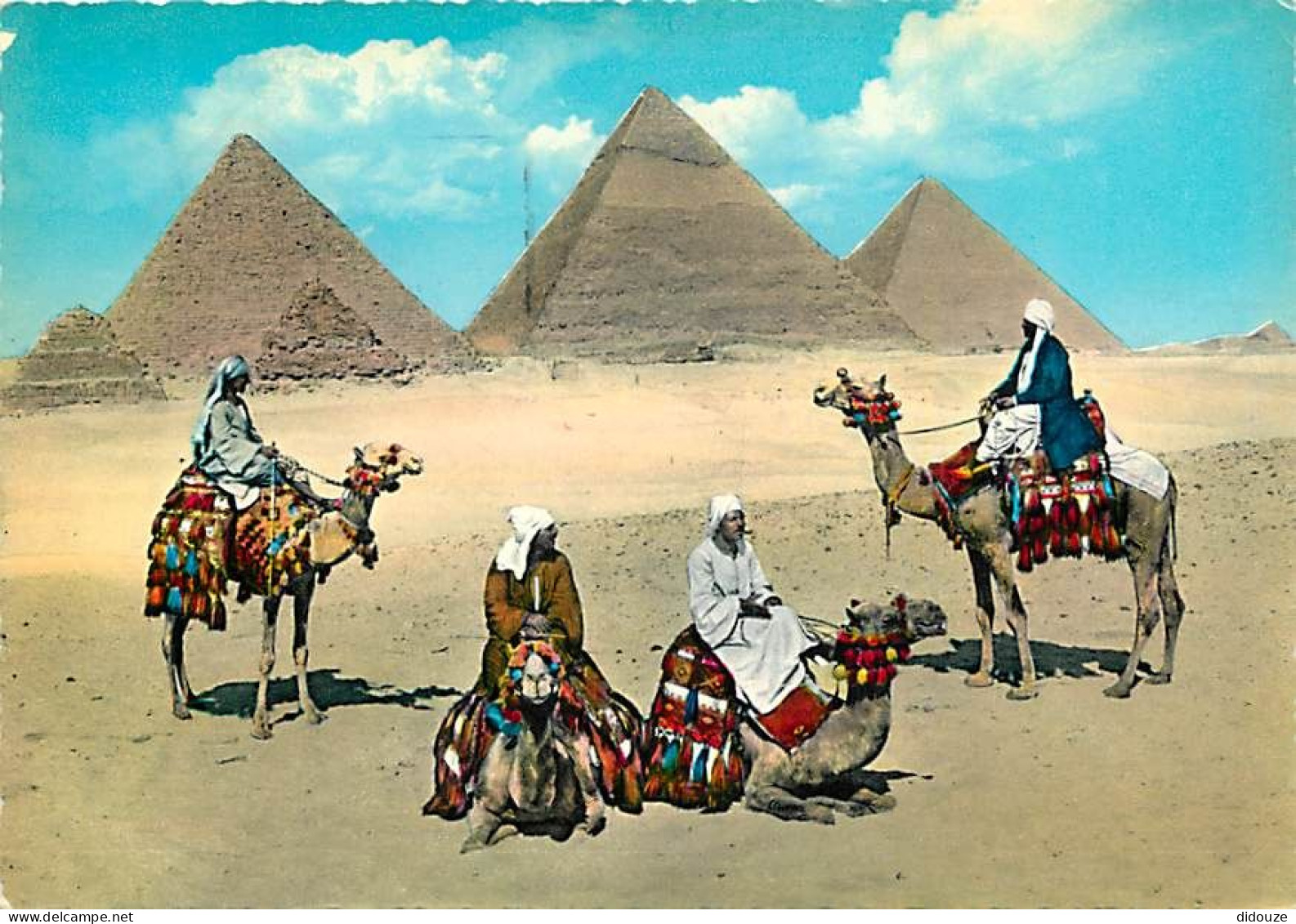 Egypte - Gizeh - Giza - Arabs Near Giza Pyramid Group - Chamelier - Chameaux - Voir Timbre - CPM - Voir Scans Recto-Vers - Guiza