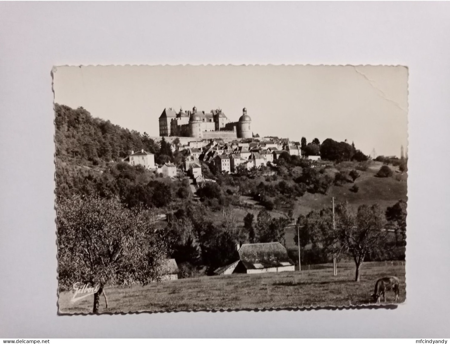 Carte Postale - Hautefort - Le Château, Le Village, Vue Générale   (1eg) - Hautefort