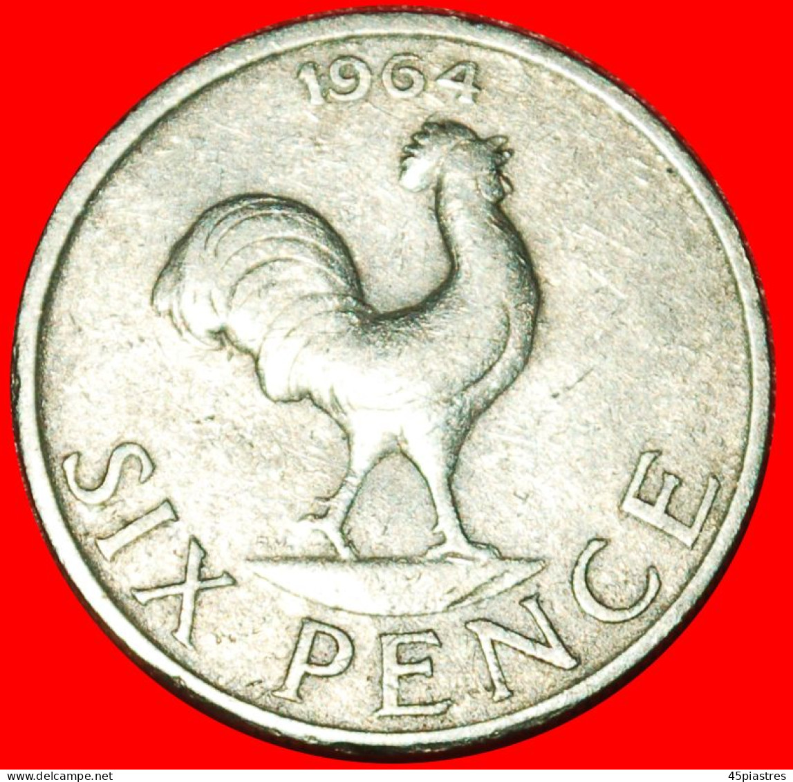 * GREAT BRITAIN: MALAWI  6 PENCE 1964 COCK! Banda (1963-1994) DISCOVERY COIN! · LOW START ·  NO RESERVE! - Indonésie