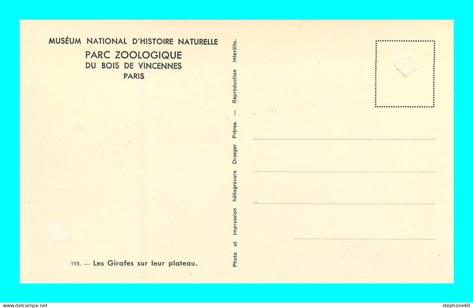 A921 / 239 GIRAFES Sur Leur Plateau - Parc Zoologique Du Bois De VINCENNES Paris - Zoo - Jirafas