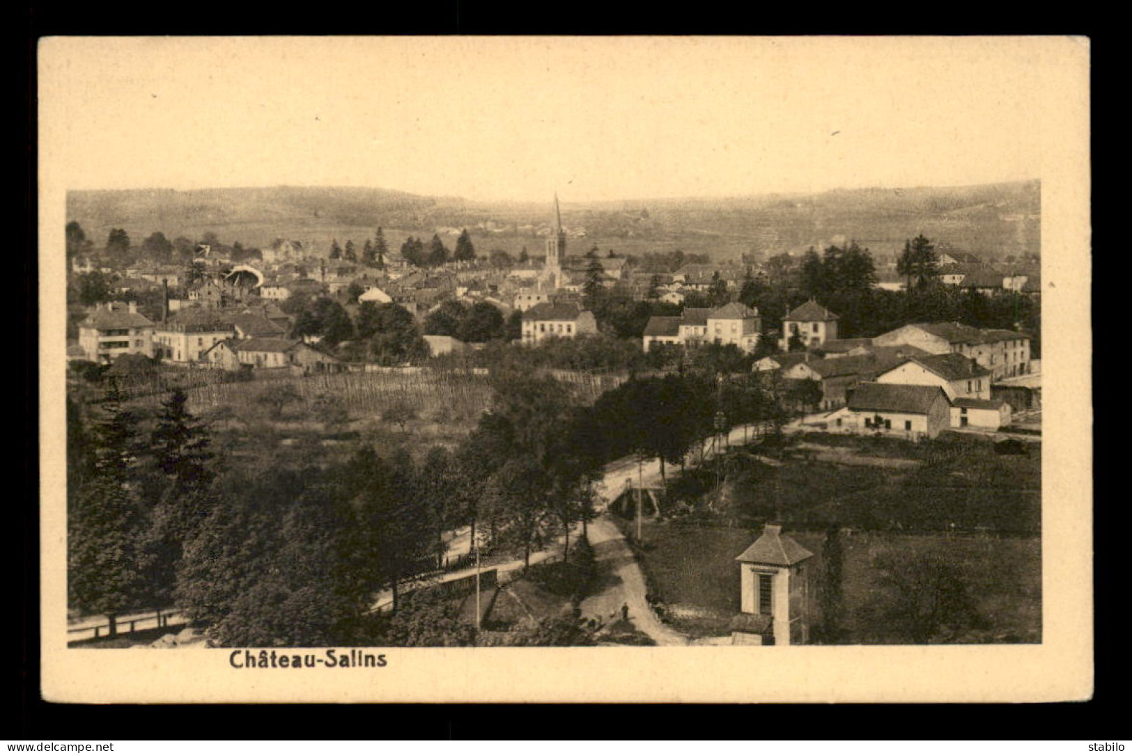 57 - CHATEAU SALINS - VUE GENERALE - Chateau Salins