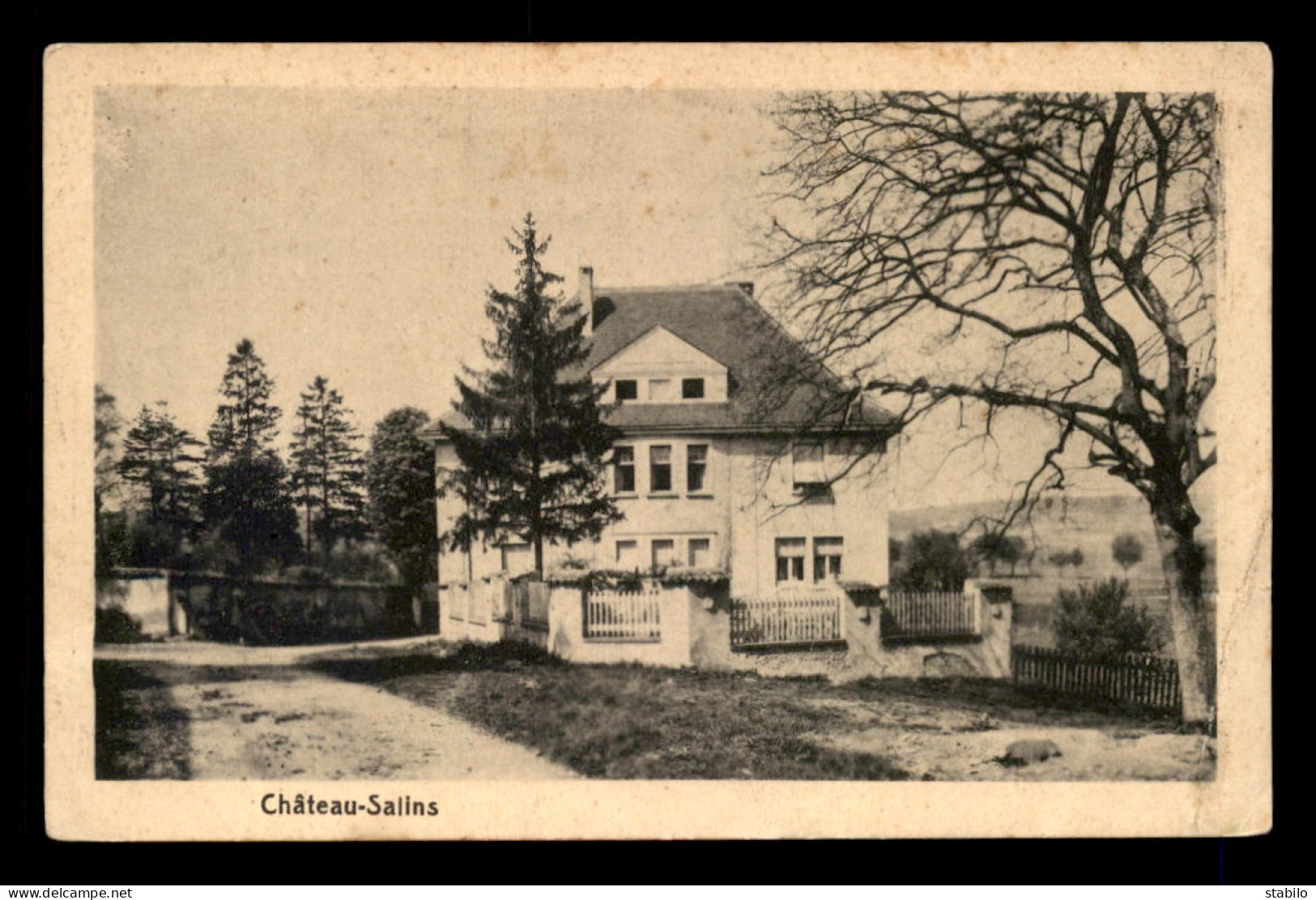57 - CHATEAU SALINS  - Chateau Salins