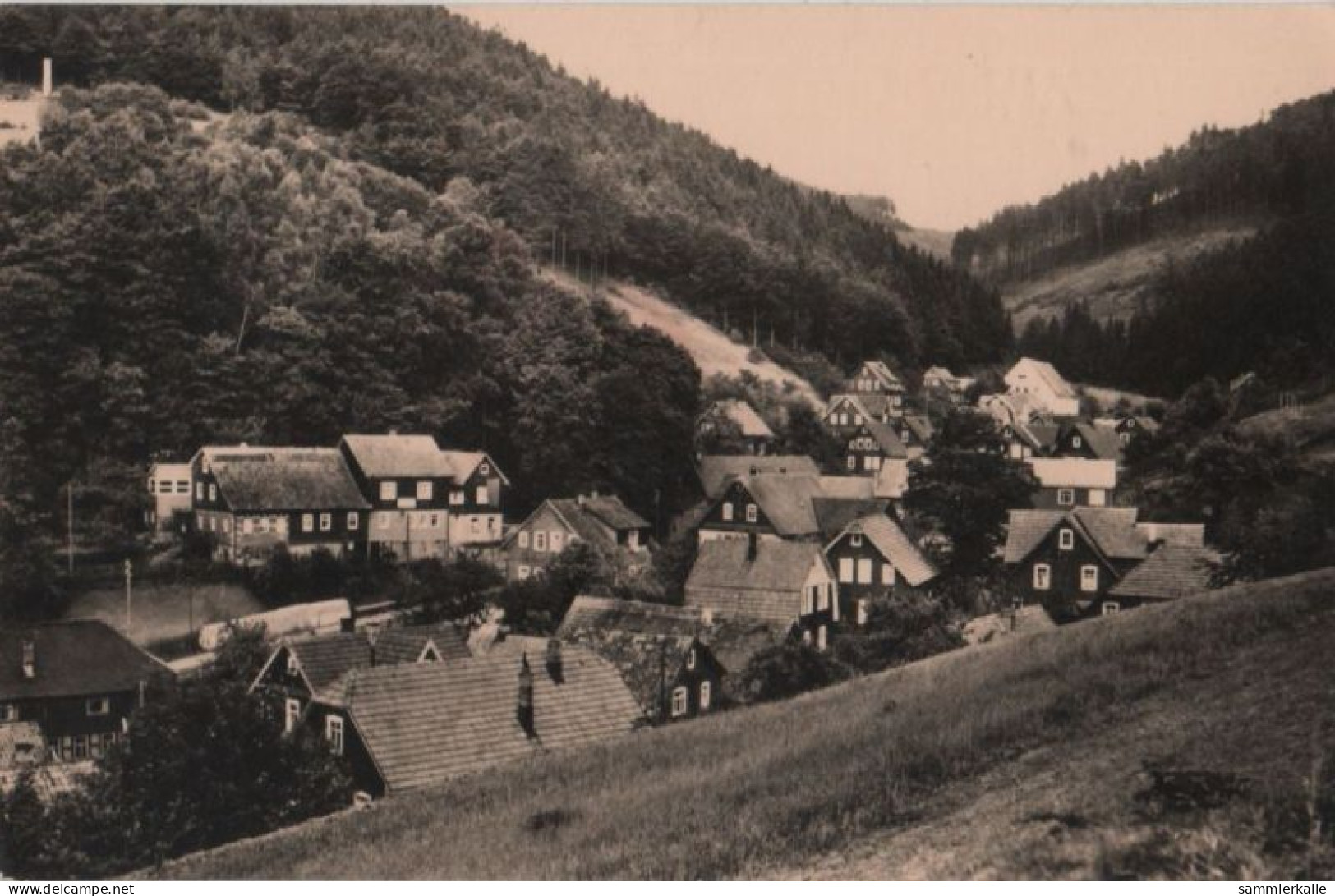 87930 - Giesshübel - Rehbachtal Mit Löhlein - 1964 - Bad Gottleuba-Berggiesshuebel