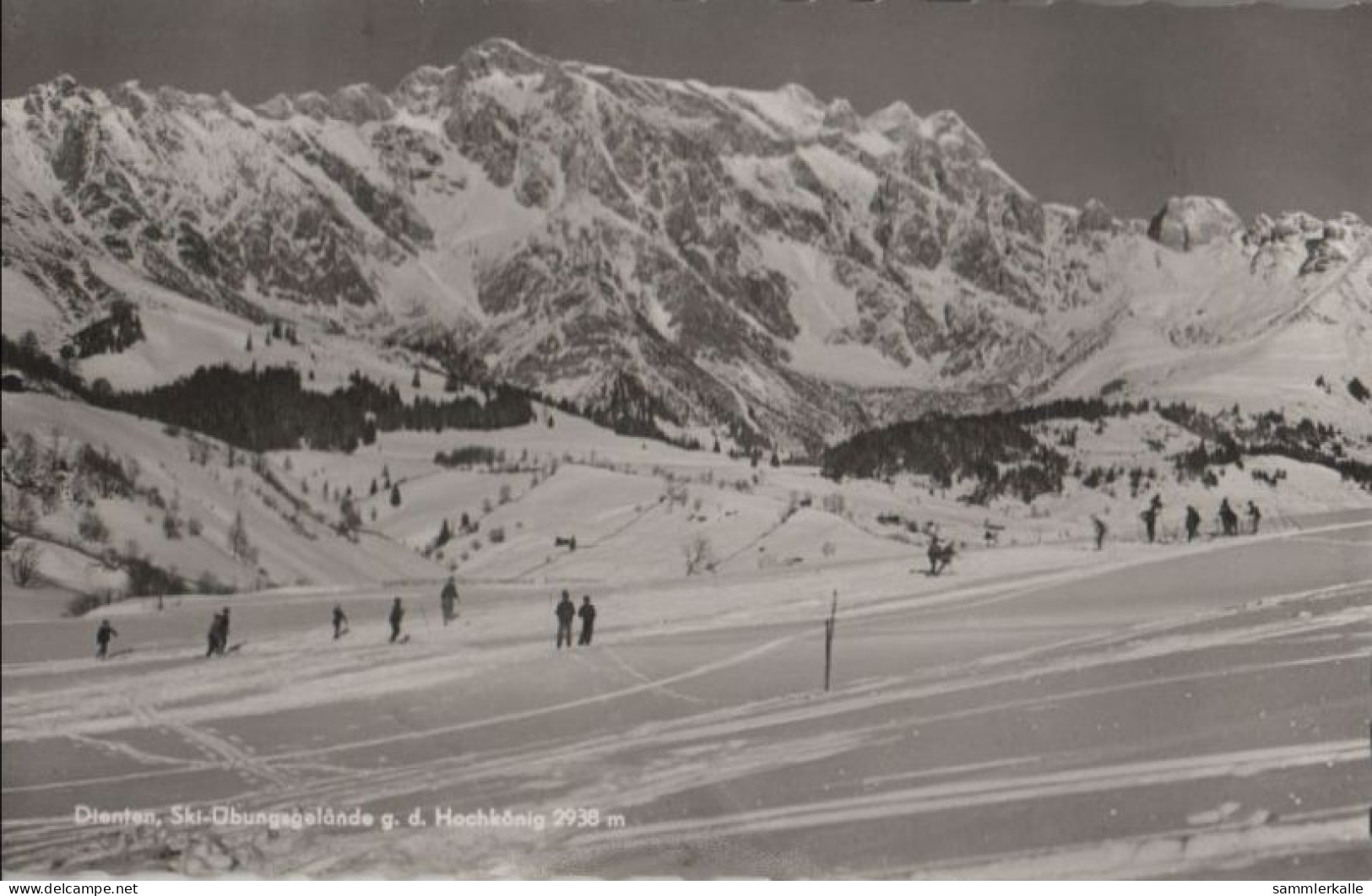 61624 - Österreich - Dienten - Ski-Übungsgelände - Ca. 1960 - Dienten