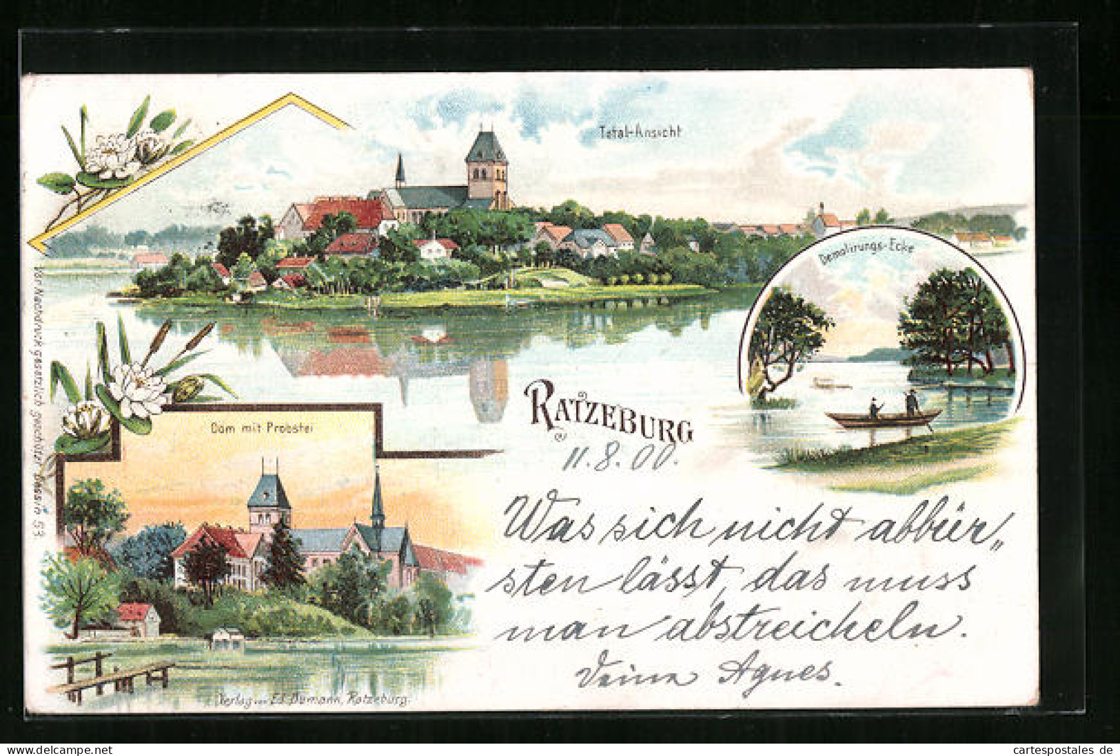Lithographie Ratzeburg, Dom Mit Probstei, Demolirungs-Ecke, Panorama  - Ratzeburg