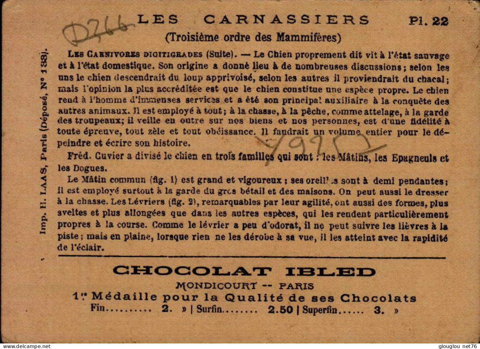 CHROMO..CHOCOLAT IBLED..LES CARNASSIERS..(CHIENS) - Ibled