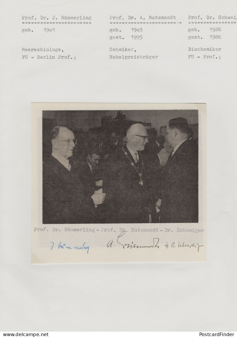 Joachim Hammerling Nazi Funded Danish German Biologist Hand Signed - Erfinder Und Wissenschaftler