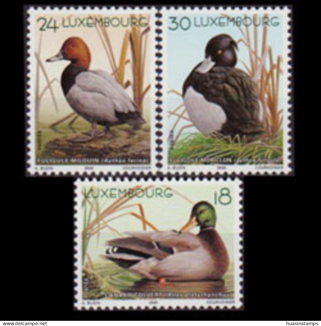 LUXEMBOURG 2000 - Scott# 1031-3 Wild Ducks Set Of 3 MNH - Nuovi